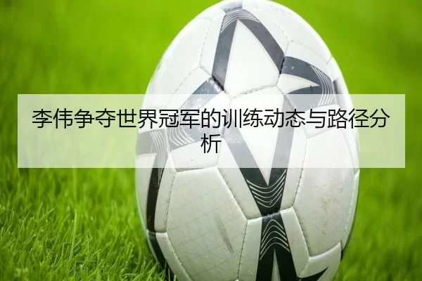 李伟争夺世界冠军的训练动态与路径分析